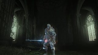 Dark Souls 3 The Ringed City Weapon amp Armor Showcase [upl. by Danete]