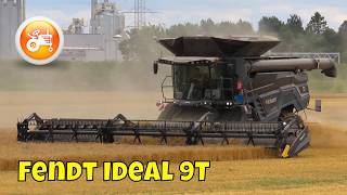 Harvest 2024  Fendt Ideal 9 T amp Geringhoff TruFlex Razor 40 [upl. by Ardnola]