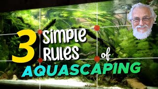 Aquascaping Made Easy 3 Simple Rules for Beautiful Aquariums [upl. by Htnamas708]