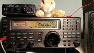 NMN Chesapeake Virginia coast guard marine weather 4426 Khz Shortwave [upl. by Sel]