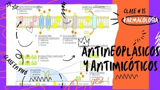 15T ANTINEOPLÁSICOS Y ANTIMICÓTICOS [upl. by Caro]