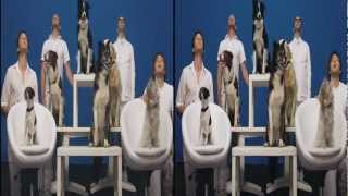 OK Go  White Knuckles  Official 3D Video [upl. by Mallis]