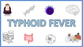 Typhoid Fever  Causes Pathogenesis Signs and Symptoms Diagnosis Treatment and Prevention [upl. by Attenweiler415]