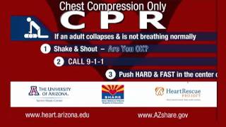 Chest Compression CPR Only [upl. by Drareg]