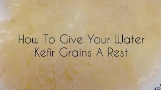 How To Give Your Water Kefir Grains A Rest [upl. by Usanis]