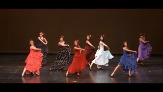 Flamenco  quotBailandoquot ShakallisDance2014 [upl. by Elicia]