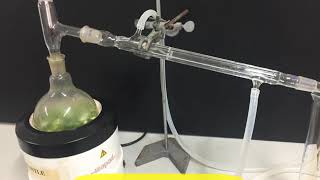 Hydrodistillation of essential oil การสกัดน้ำมันหอมระเหย [upl. by Homovec]