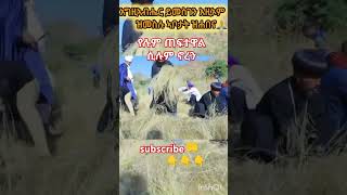 የሉም ጠፈተዋል ሲሉ ኖረን duet abelbirhanuየወይኗልጅ habesha ethioforumኢትዮፎረም amharic yetbitubeየተንቢ [upl. by Rehpotsyrk]