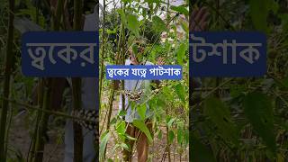 ত্বকের যত্নে পাটশাক। [upl. by Haimaj235]