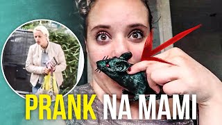 We pranked our mom [upl. by Rosena]