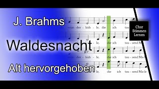 Waldesnacht J Brahms – Alt hervorgehoben  alto enhanced [upl. by Crescint]