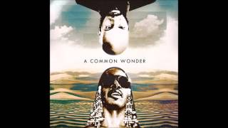 Amerigo Gazaway  A Common Wonder Full Album HD [upl. by Adraynek495]