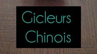 GICLEUR CHINOIS [upl. by Ardnekahs]