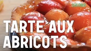 Tarte Aux Abricots  Recettes de Tartes amp Gateaux [upl. by Nauqe]