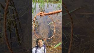 Modinha pesca no Laço🤠 fishing reaction pescaria Traíra [upl. by Nnairrek]