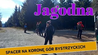 Jagodna Korona Gór Bystrzyckich Spacerem w 1 godzinę kgp Napisy sudety wycieczka [upl. by Stanton826]