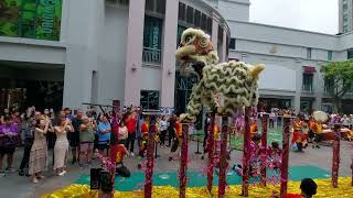 Cny 2024 Lion Dance High Pole Bugis Junction Chinese New Year 初六 15 Feb 2024 [upl. by Kashden535]