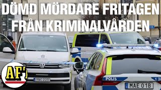 Dömd mördare fritagen från Kriminalvården – jakten fortsätter [upl. by Nesyrb413]