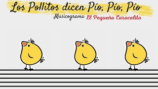 Los Pollitos dicen pío pío pío│Pequeño Caracolito│Musicograma│Canción Popular│Música y Movimiento ↓↓ [upl. by Odarnoc]