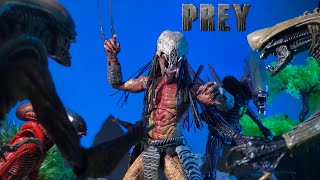 Feral Predator vs Razor Claw Alien Chrysails alien Arachnoid alien scorpion alien an epic battle [upl. by Oivaf]