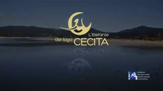 Lelefante del Lago Cecita [upl. by Camfort]