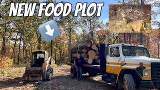 LOGGING A FOOD PLOT IN TIME FOR HUNTING SEASON [upl. by Khoury67]