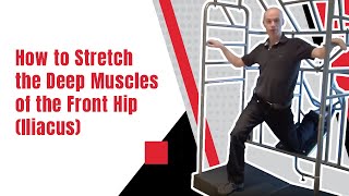 How to Stretch the Deep Muscles of the Front Hip Iliacus  Ed Paget [upl. by Ahsitniuq869]