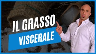 Cos’è il grasso viscerale [upl. by Suiddaht]