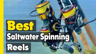 ✅Top 5 Best Saltwater Spinning Reels In 2023 🎣  Lightest Saltwater Spinning Reel [upl. by Hildebrandt]