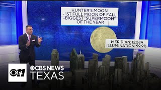 Hunter’s Supermoon illuminates North Texas skies weather remains pleasant [upl. by Harbot15]