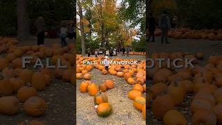 Fall color in Manotick 25 minutes from Ottawa canada fall thanksgiving farm autumn [upl. by Idnyc]