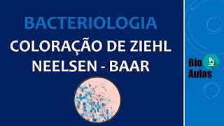 Coloração de Ziehl Neelsen Baciloscopia Microbiologia  Bio Aulas [upl. by Payne252]