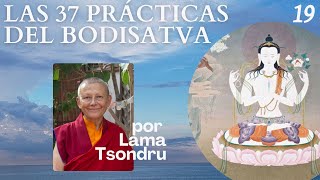 Las 37 Prácticas del Bodhisatva 19 por Lama Tsondru [upl. by Suqram342]