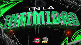 EN LA INTIMIDAD  Dj Pirata ft Dj Luciano Troncoso guaracha aleteo techengue [upl. by Navannod795]