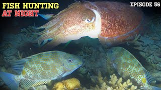 NIGHT SPEARFISHING EPISODE 56  FISH HUNTING AT NIGHT [upl. by Hana]