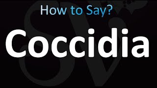 How to Pronounce Coccidia correctly [upl. by Oinegue]