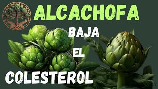 Alcachofa baja el colesterol [upl. by Casilde616]