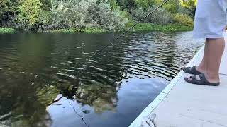 Catch and cook crappie fishing [upl. by Adiaros]