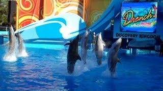 Drench  Dolphin Show 52613 [upl. by Maya]