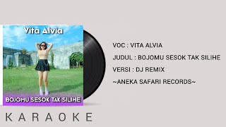 Vita Alvia  Bojomu Sesok Tak Silihe Karaoke Dj Remix [upl. by Longtin131]