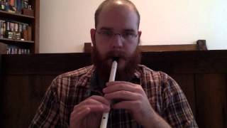 The Swallowtail Jig  Tin Whistle [upl. by Enyawad50]