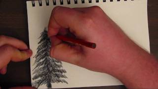 How to Draw a Basic Tree [upl. by Nolyad]