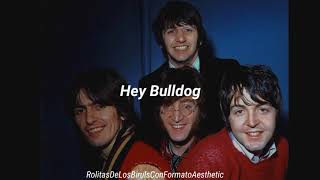 Hey Bulldog  The Beatles  Subtitulada [upl. by Yrehc282]