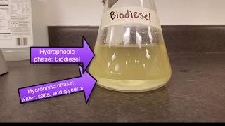 66 Transesterification reaction demonstration [upl. by Daahsar982]