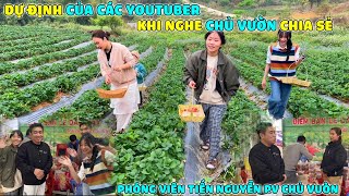 Các Youtuber muốn bỏ nghề sang trồng dâu Tây [upl. by Gerrard]