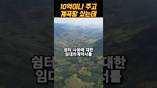 10억으로 계곡 근처 땅에 캠핑장 만들계획이었는데 [upl. by Arik]