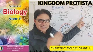 Kingdom Protista  Protozoa Algae amp Slime Molds  Biology  Grade 11 Urdu Hindi English  Federal [upl. by Annod]