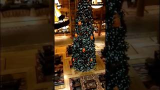 Disney Wilderness lodge at Christmas Disney welovetotravel liveyourbestlife [upl. by Ykcaj716]