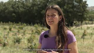 Línea de ayuda a jóvenes agricultores  Paola y su cultivo de aguacates en Cádiz [upl. by Boone]