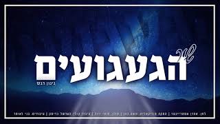 מוטי ויזל  שיר הגעגועים  Motty Vizel  Gaaguim Song [upl. by Alisa]